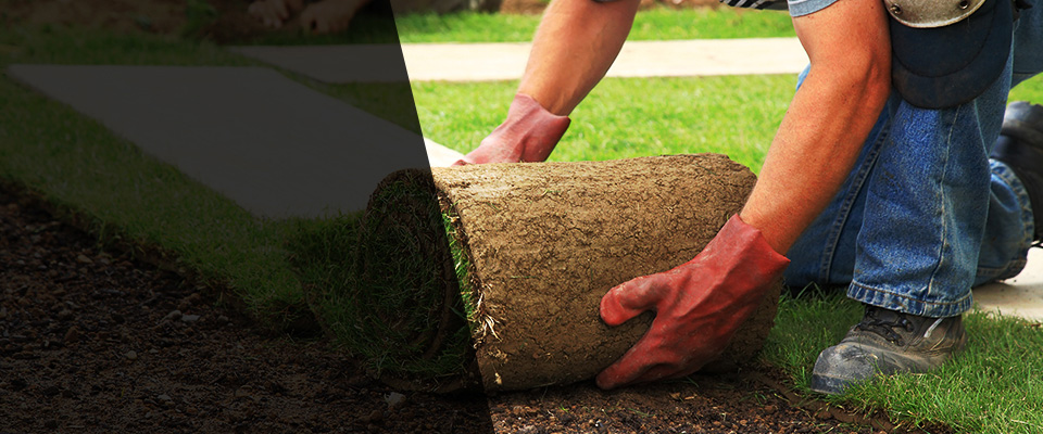 Clara City Landscapers